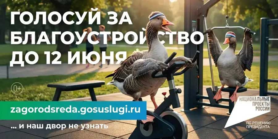 голосование за выбор объектов благоустройства